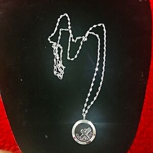 Beautiful origami owl necklace